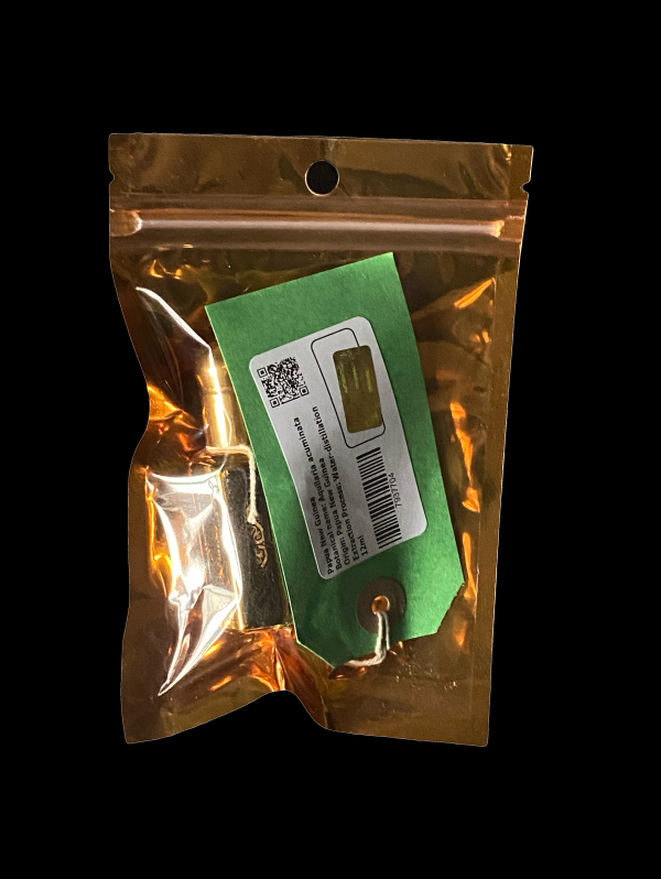 Papua New Guinea Oud