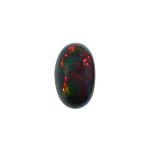 Black Ethiopian  (testing. orders will be unfulfilled)